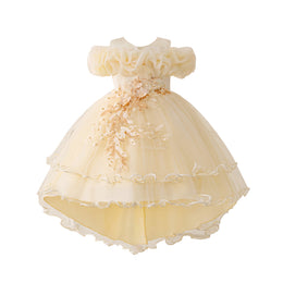Girls Applique Net Balloon Mini Dress