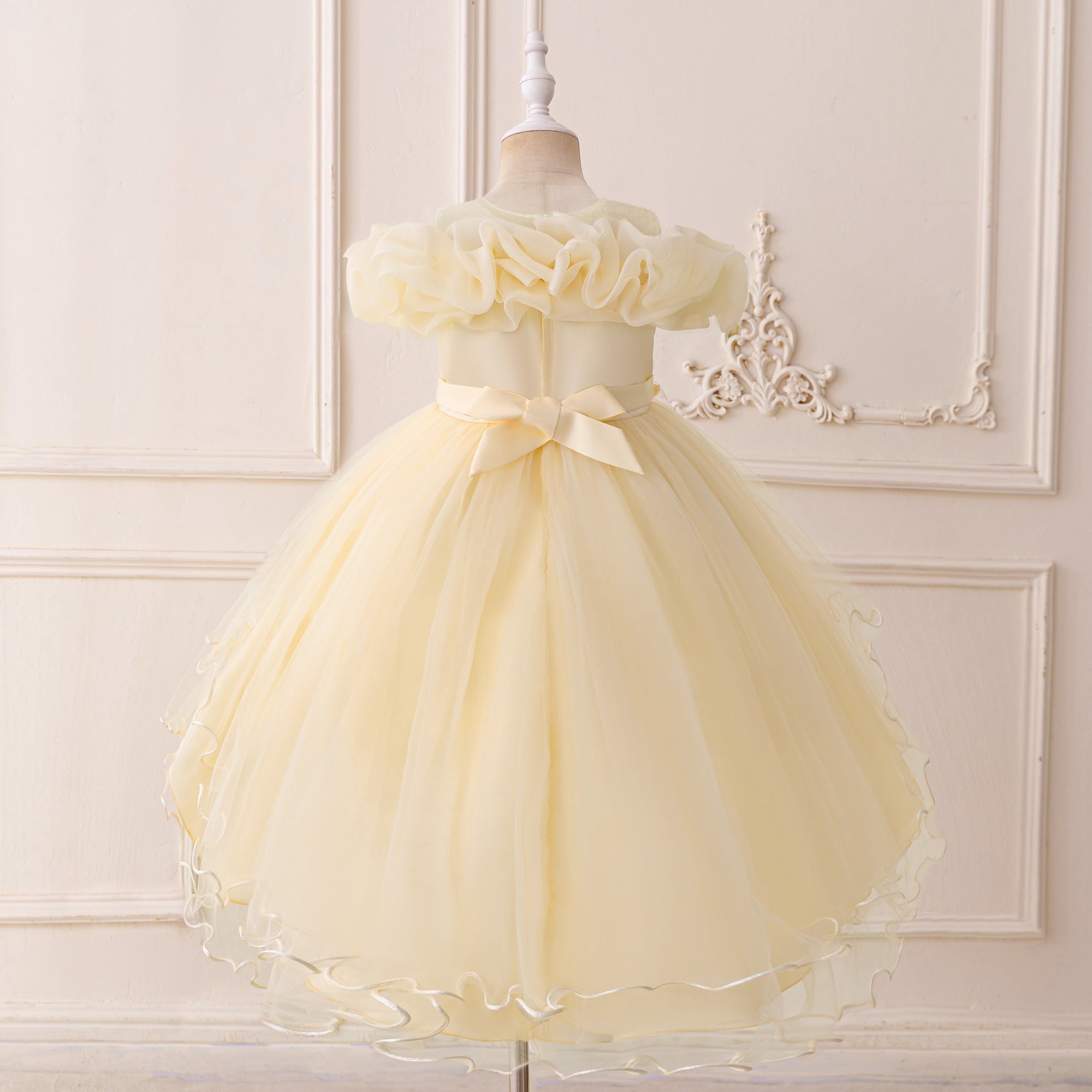 Girls Applique Net Balloon Mini Dress