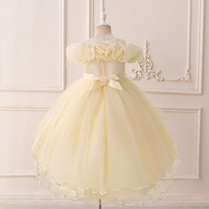 Girls Applique Net Balloon Mini Dress