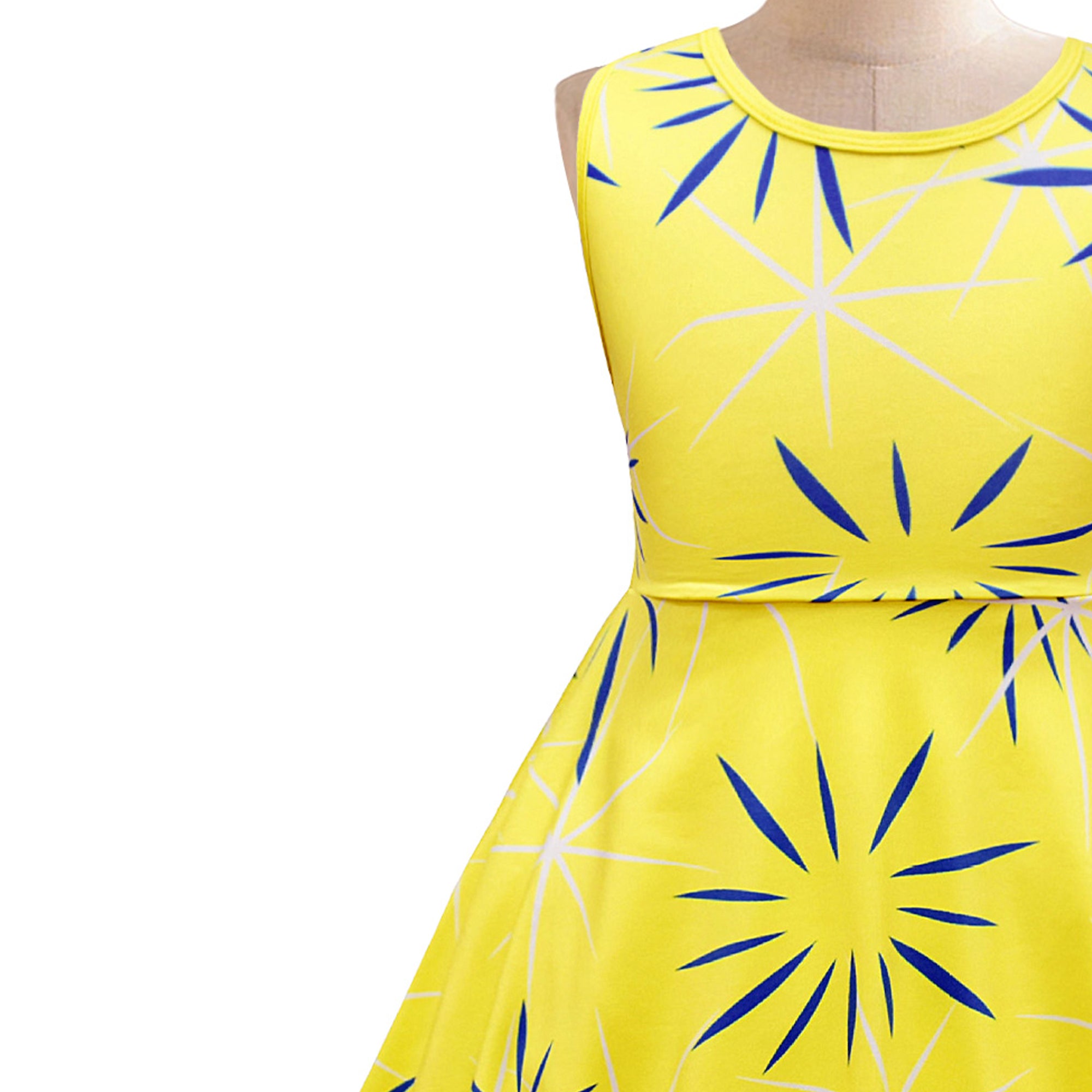Girls Floral Printed Fit and Flare Dress