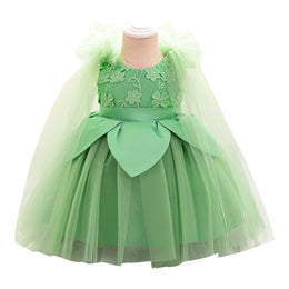 Girls Embroidered Fit And Flare Dress