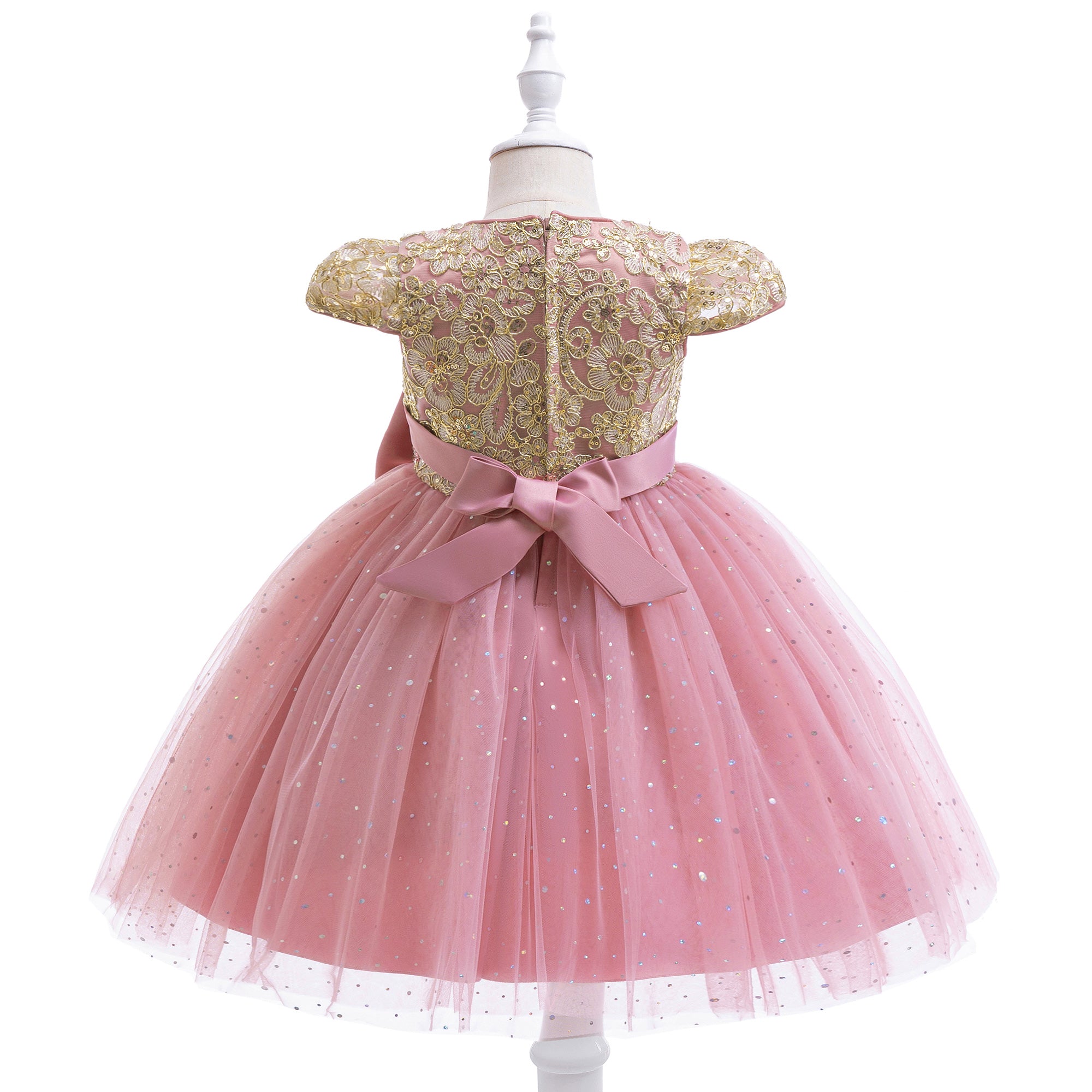 Girls Applique Net Balloon Mini Dress