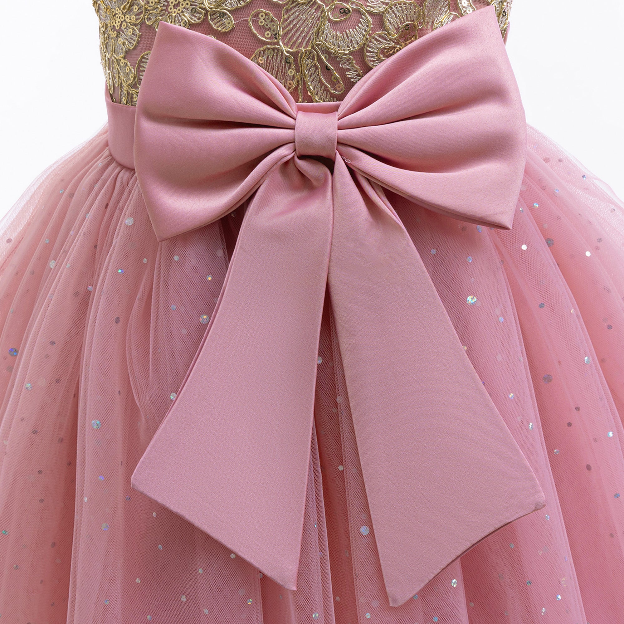 Girls Applique Net Balloon Mini Dress