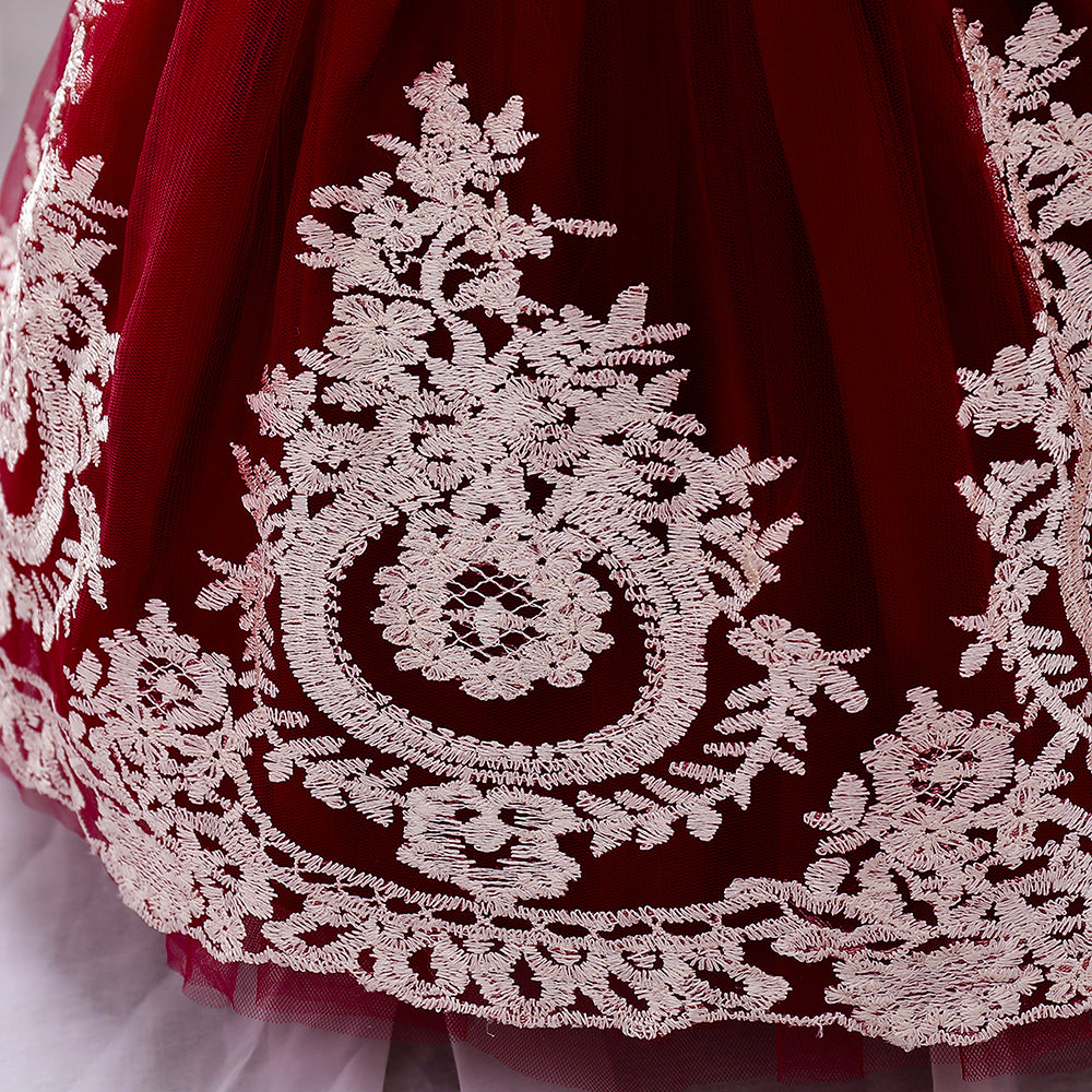 Girls Maroon Embroidered Fit & Flare Dress