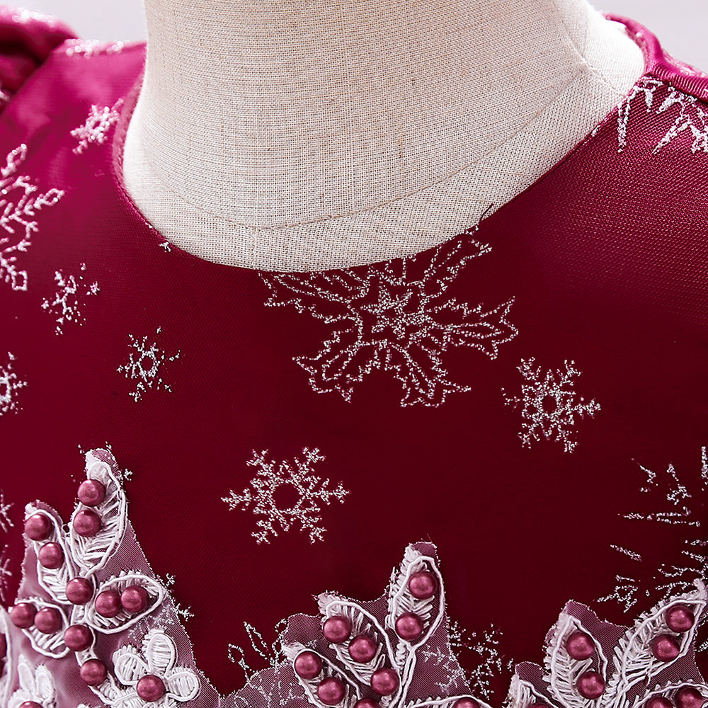 Maroon & claret Embellished Embroidered Puff Sleeve Applique Fit & Flare Dress