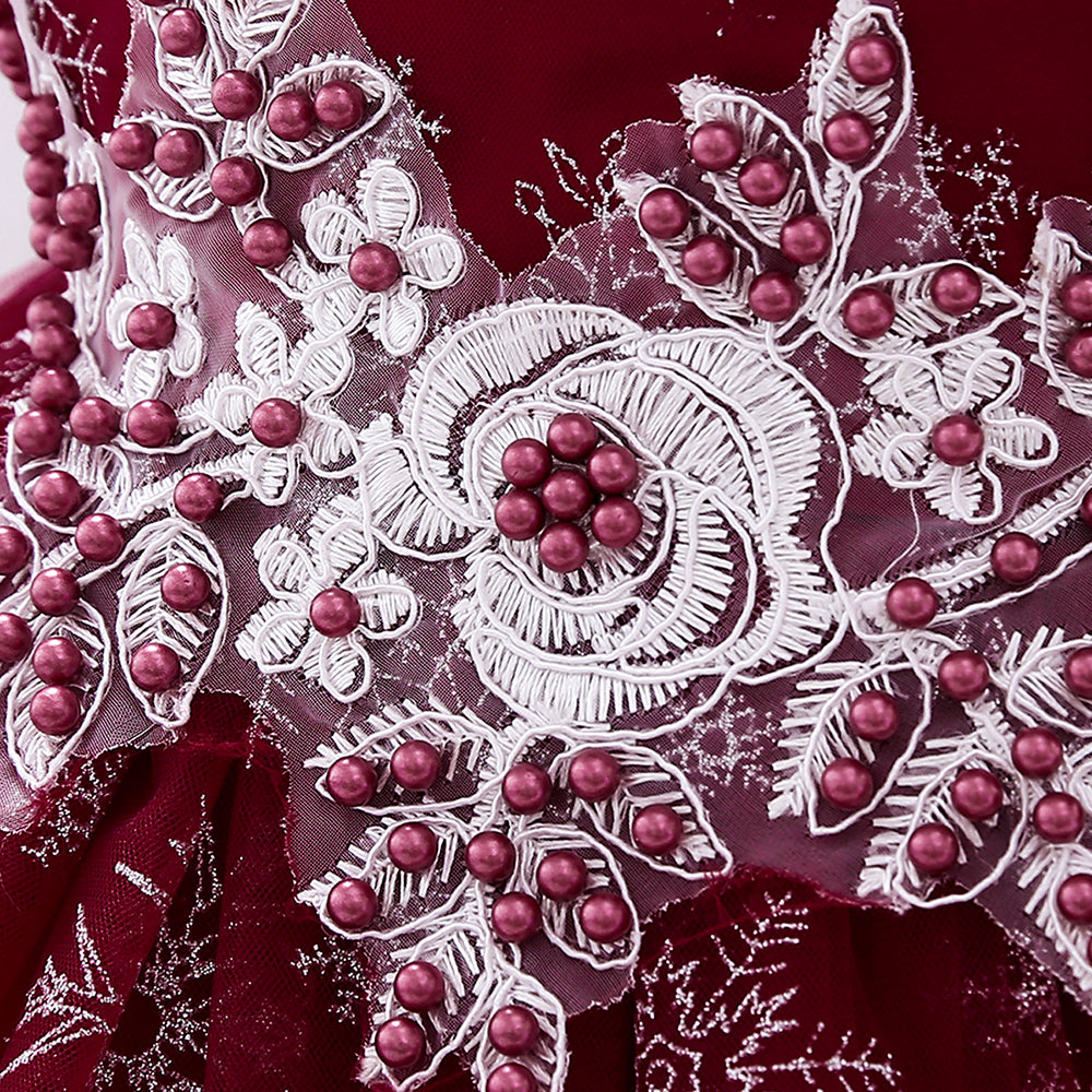 Maroon & claret Embellished Embroidered Puff Sleeve Applique Fit & Flare Dress