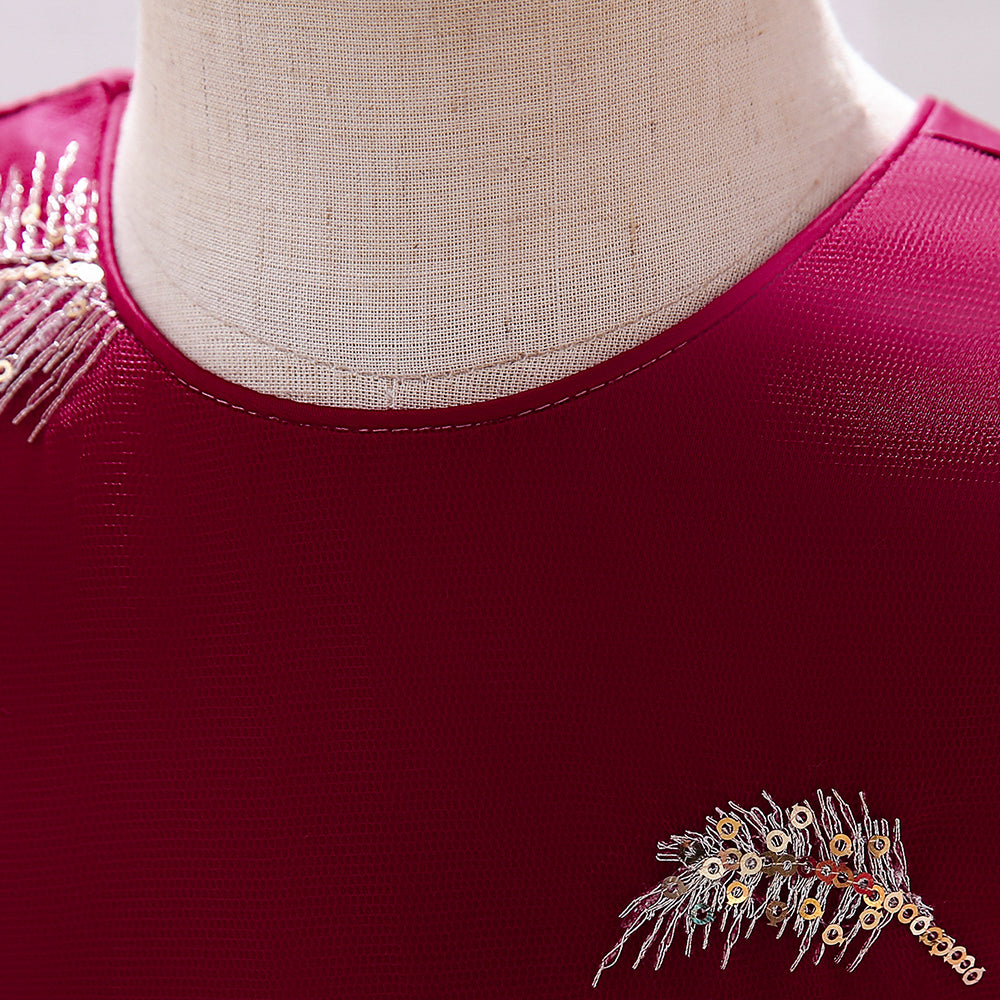 Maroon Embellished Fit & Flare Party Dress