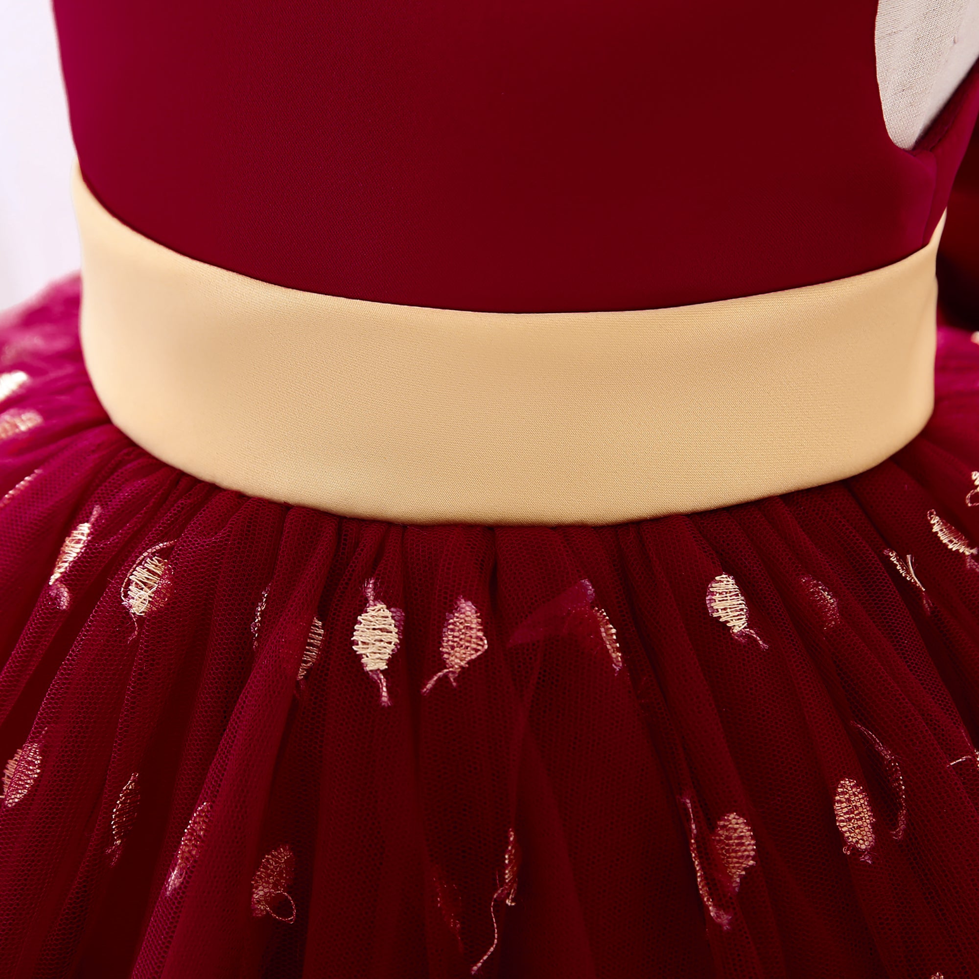 Maroon & Gold-Toned Ethnic Motifs Fit & Flare Dress