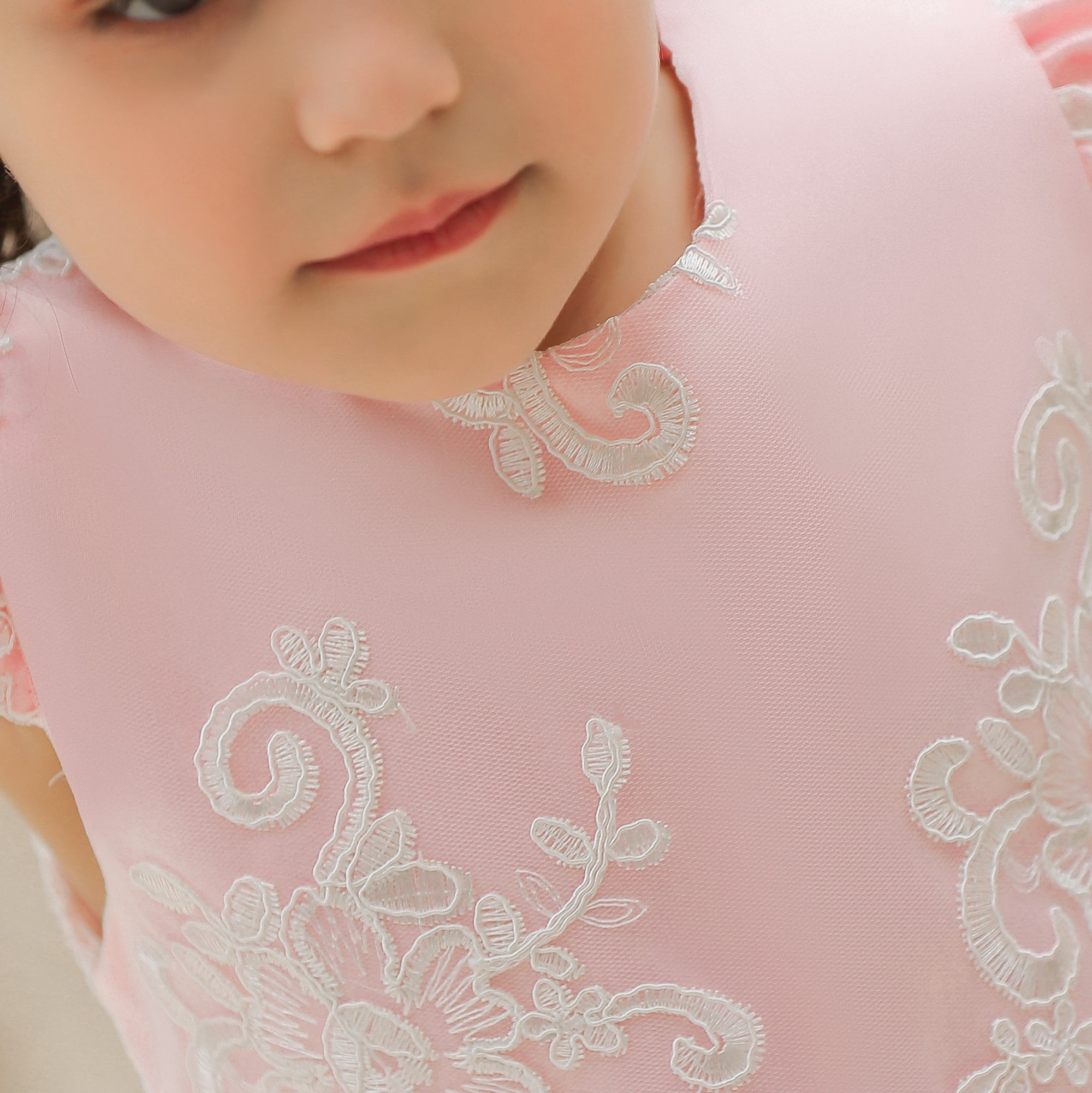 Pink & peachskin Floral Embroidered Fit & Flare Maxi Dress
