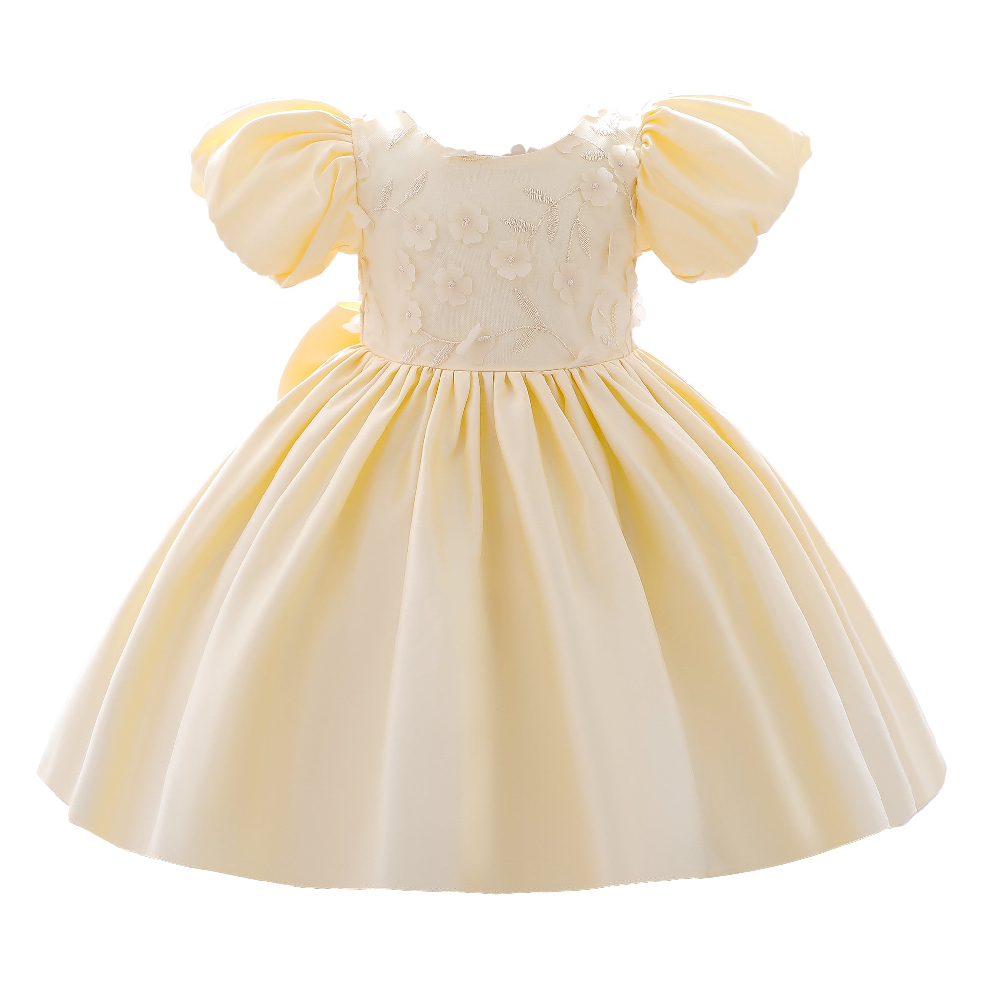 Yellow & sand dollar Floral Embroidered Puff Sleeve Fit & Flare Dress