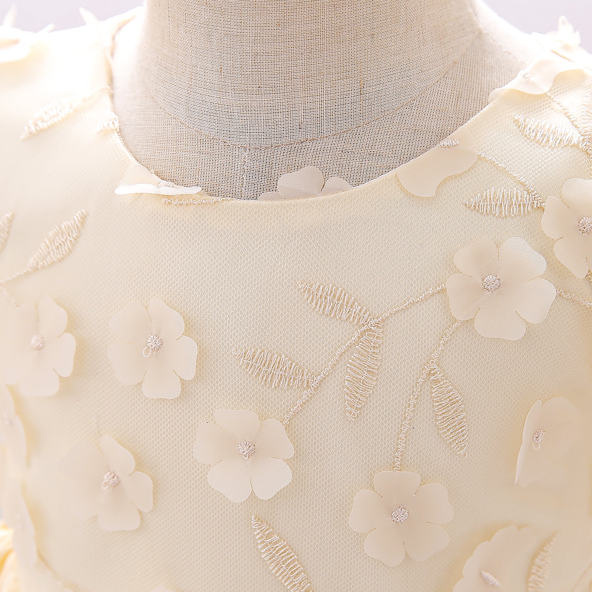 Yellow & sand dollar Floral Embroidered Puff Sleeve Fit & Flare Dress
