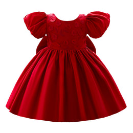 Red & blood red Floral Embroidered Puff Sleeve Fit & Flare Dress