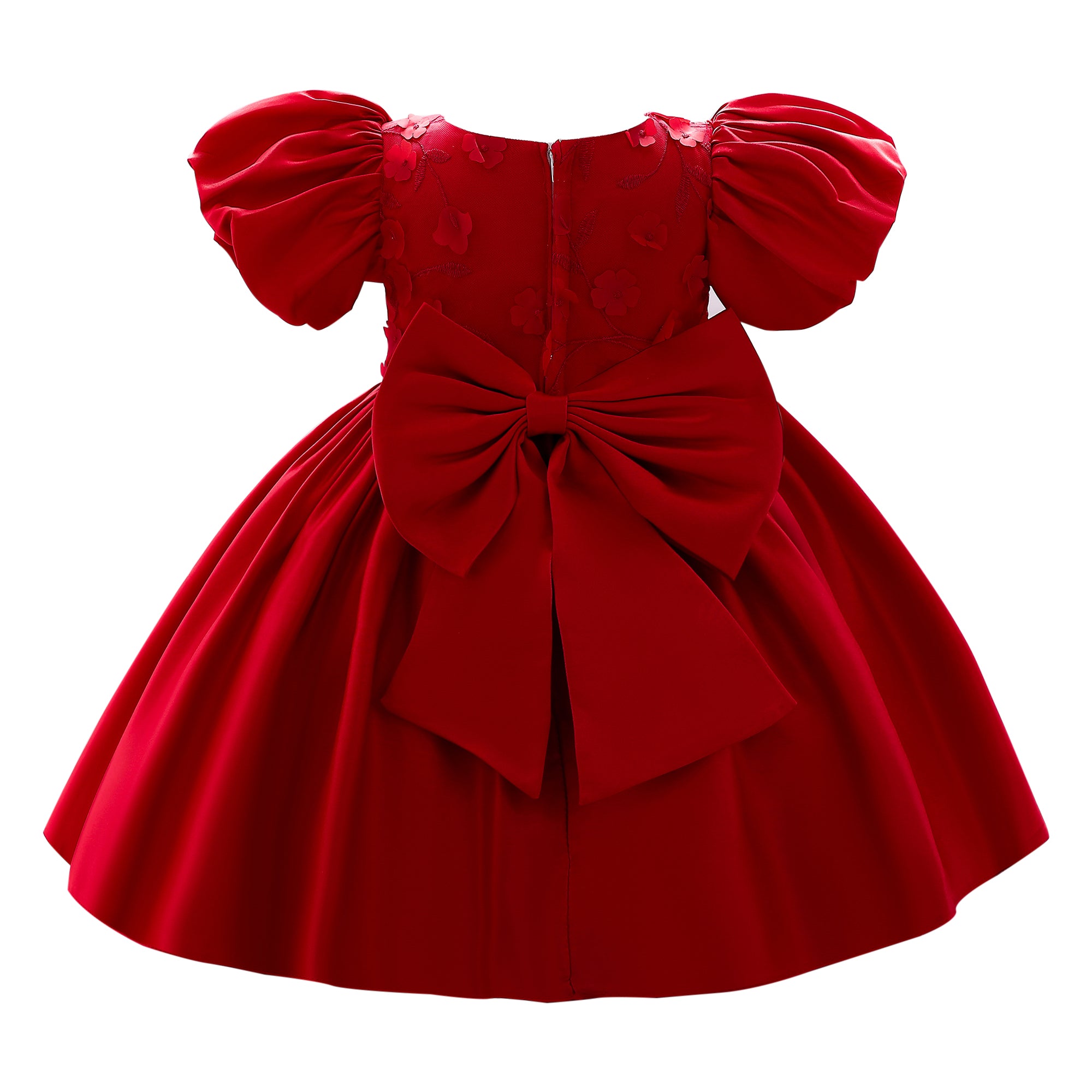 Red & blood red Floral Embroidered Puff Sleeve Fit & Flare Dress
