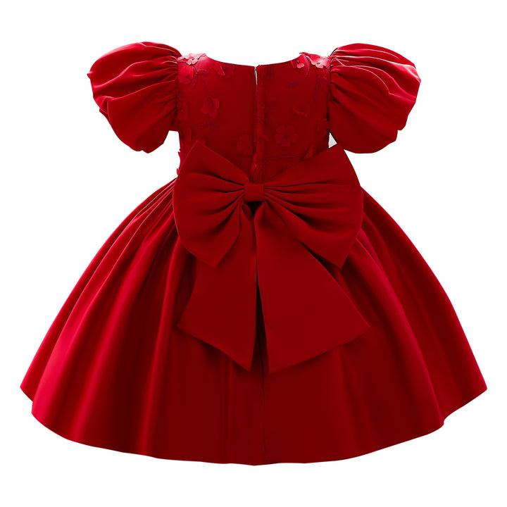 Red & blood red Floral Embroidered Puff Sleeve Fit & Flare Dress