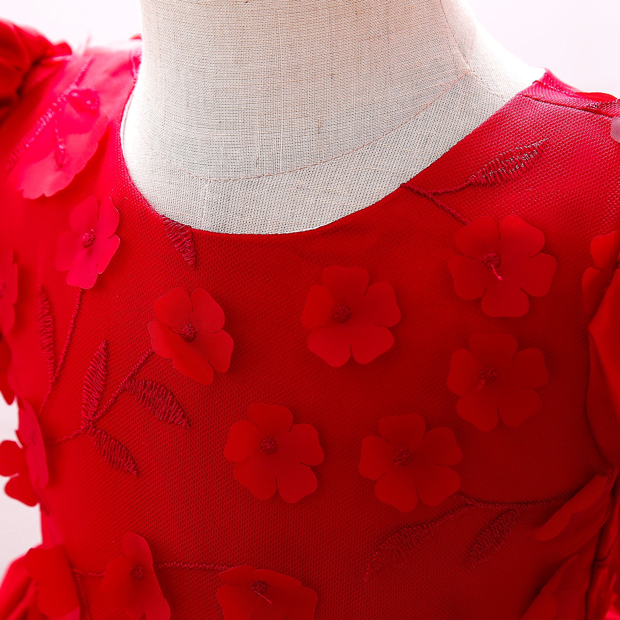 Red & blood red Floral Embroidered Puff Sleeve Fit & Flare Dress