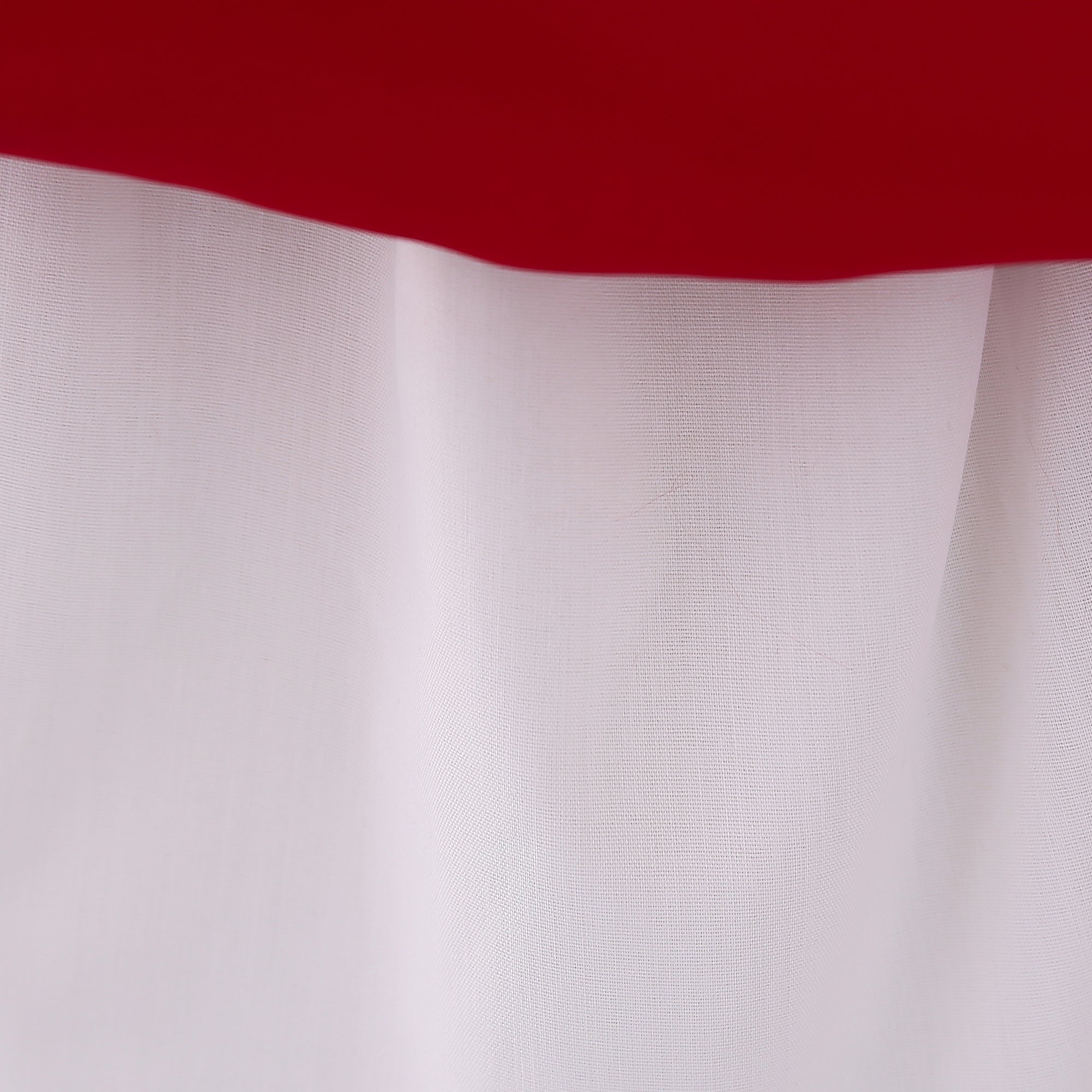 Red & blood red Floral Embroidered Puff Sleeve Fit & Flare Dress