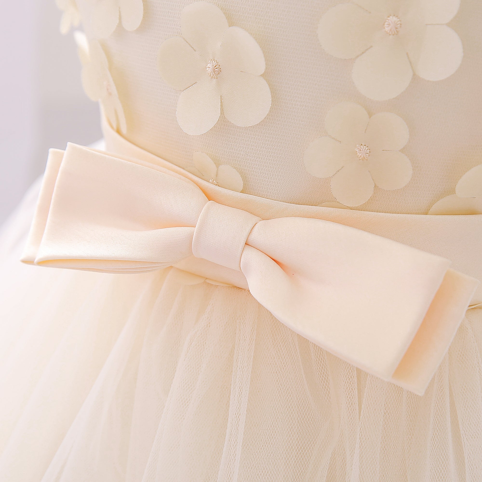 Champagne Infant Girls Self Designed Layered Sleeveless Fit & Flare Dress