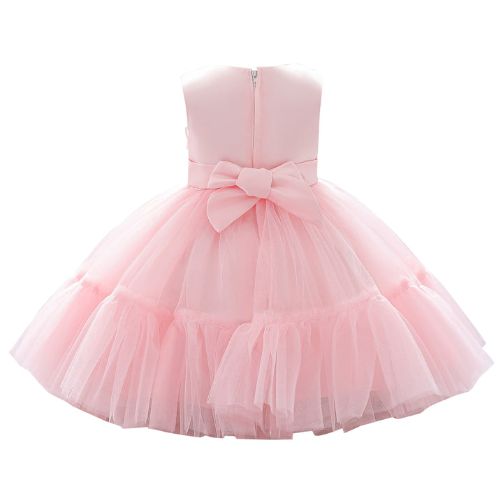 Round Neck Sleeveless Layered Semi Sheer Fit & Flare Dress