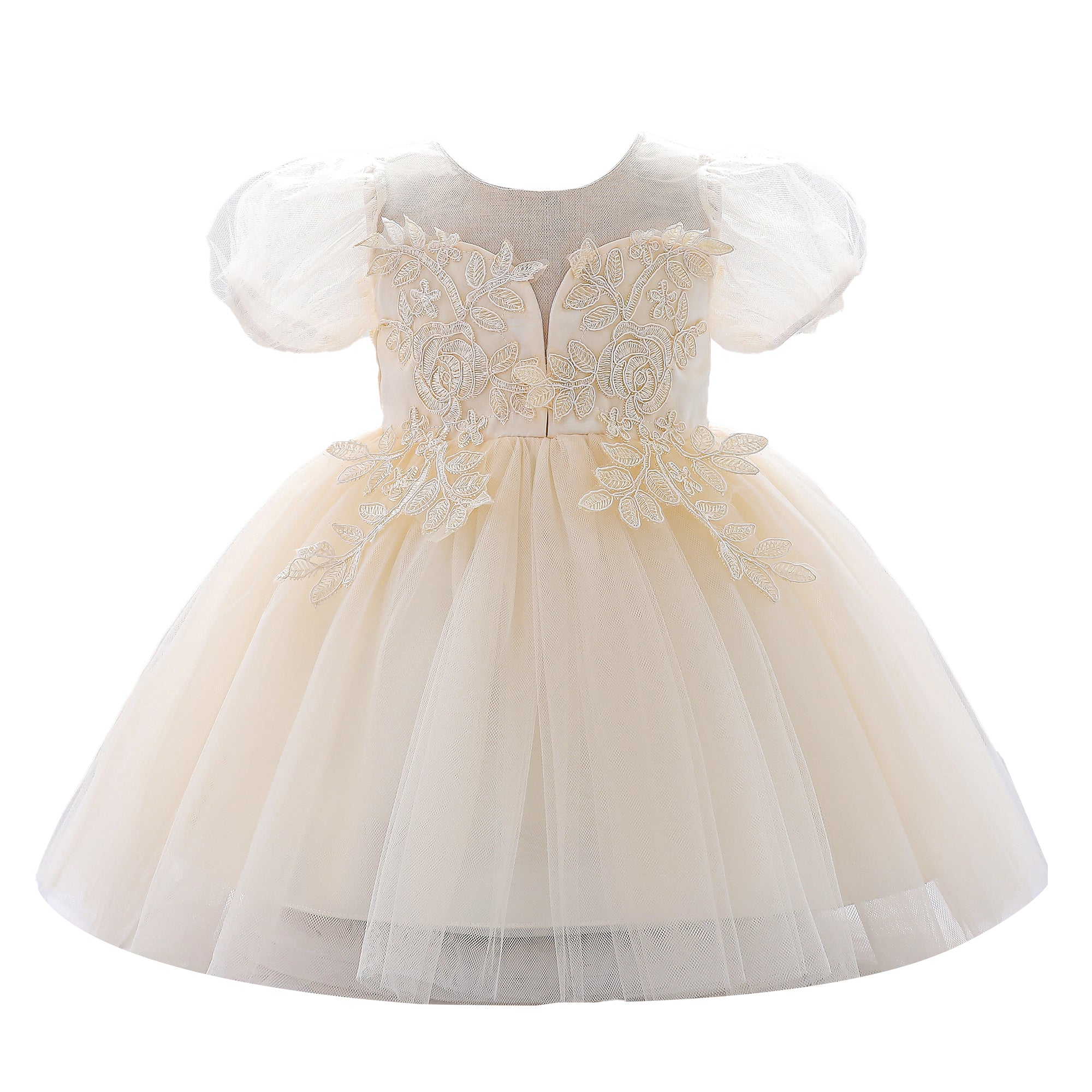 Floral Round Neck Puff Sleeve Applique Fit & Flare Dress