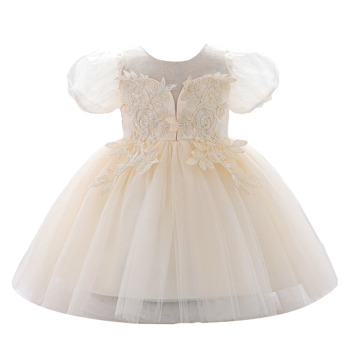 Floral Round Neck Puff Sleeve Applique Fit & Flare Dress