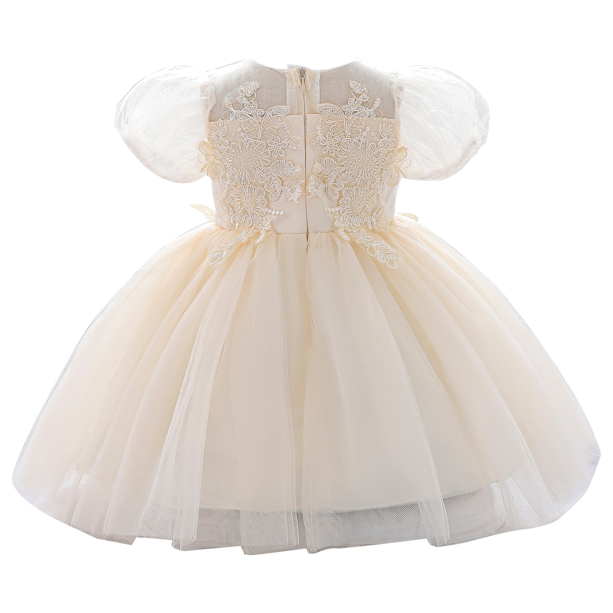Floral Round Neck Puff Sleeve Applique Fit & Flare Dress