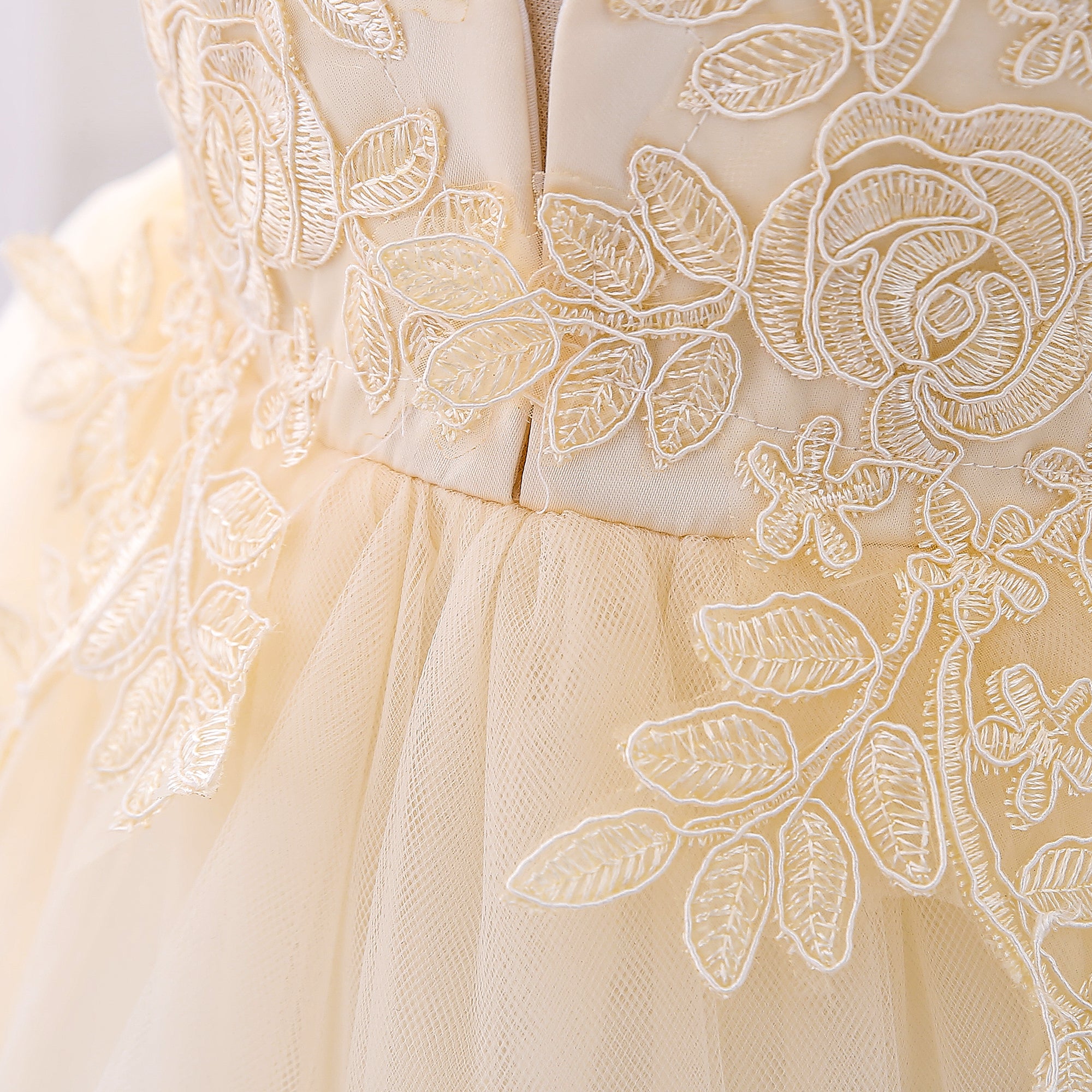 Floral Round Neck Puff Sleeve Applique Fit & Flare Dress