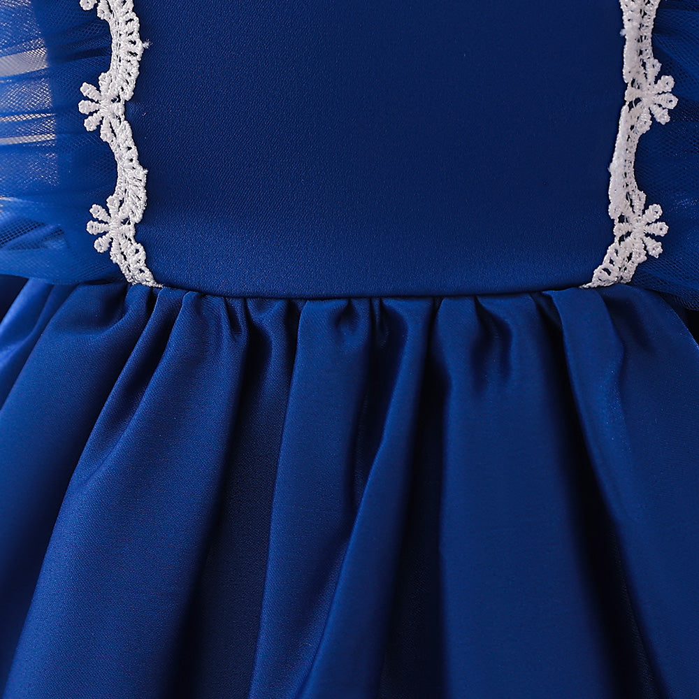 Round Neck Sleeveless Semi Sheer Fit & Flare Dress