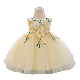 Girls Floral Embroidered Fit & Flare Dress