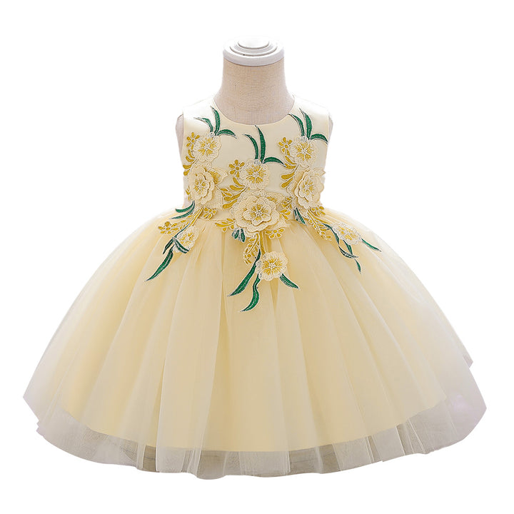 Girls Floral Embroidered Fit & Flare Dress
