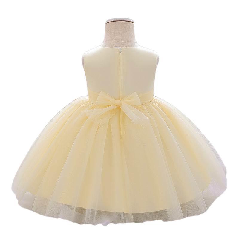 Girls Floral Embroidered Fit & Flare Dress