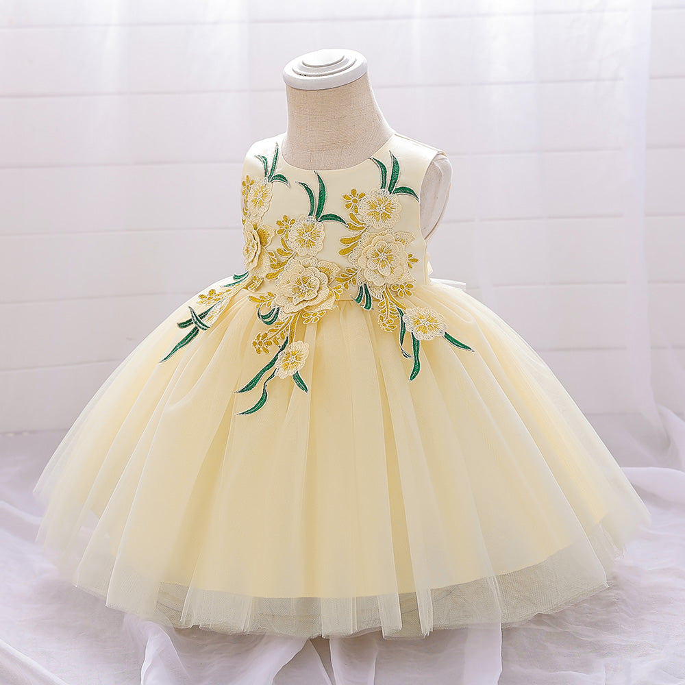 Girls Floral Embroidered Fit & Flare Dress