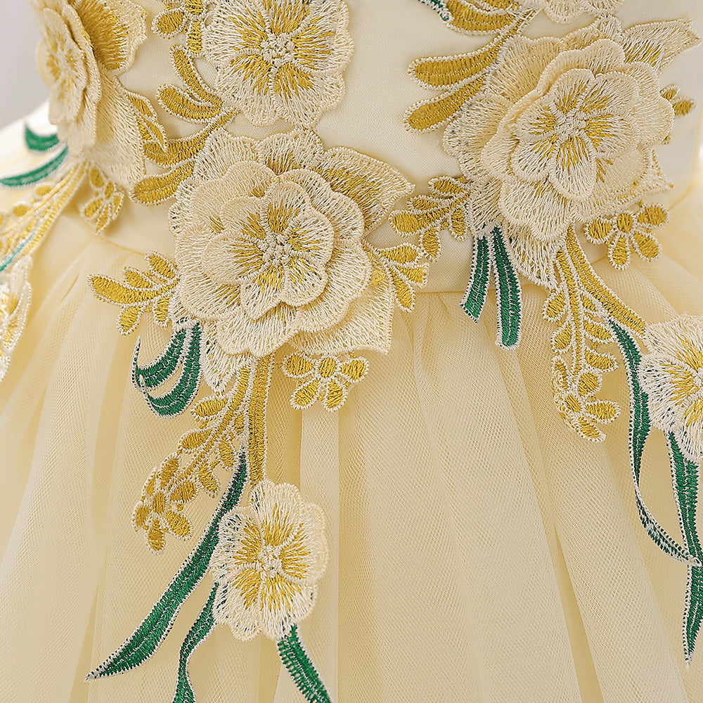 Girls Floral Embroidered Fit & Flare Dress
