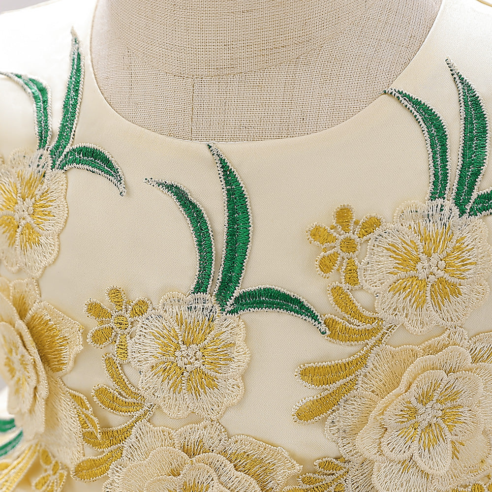 Girls Floral Embroidered Fit & Flare Dress