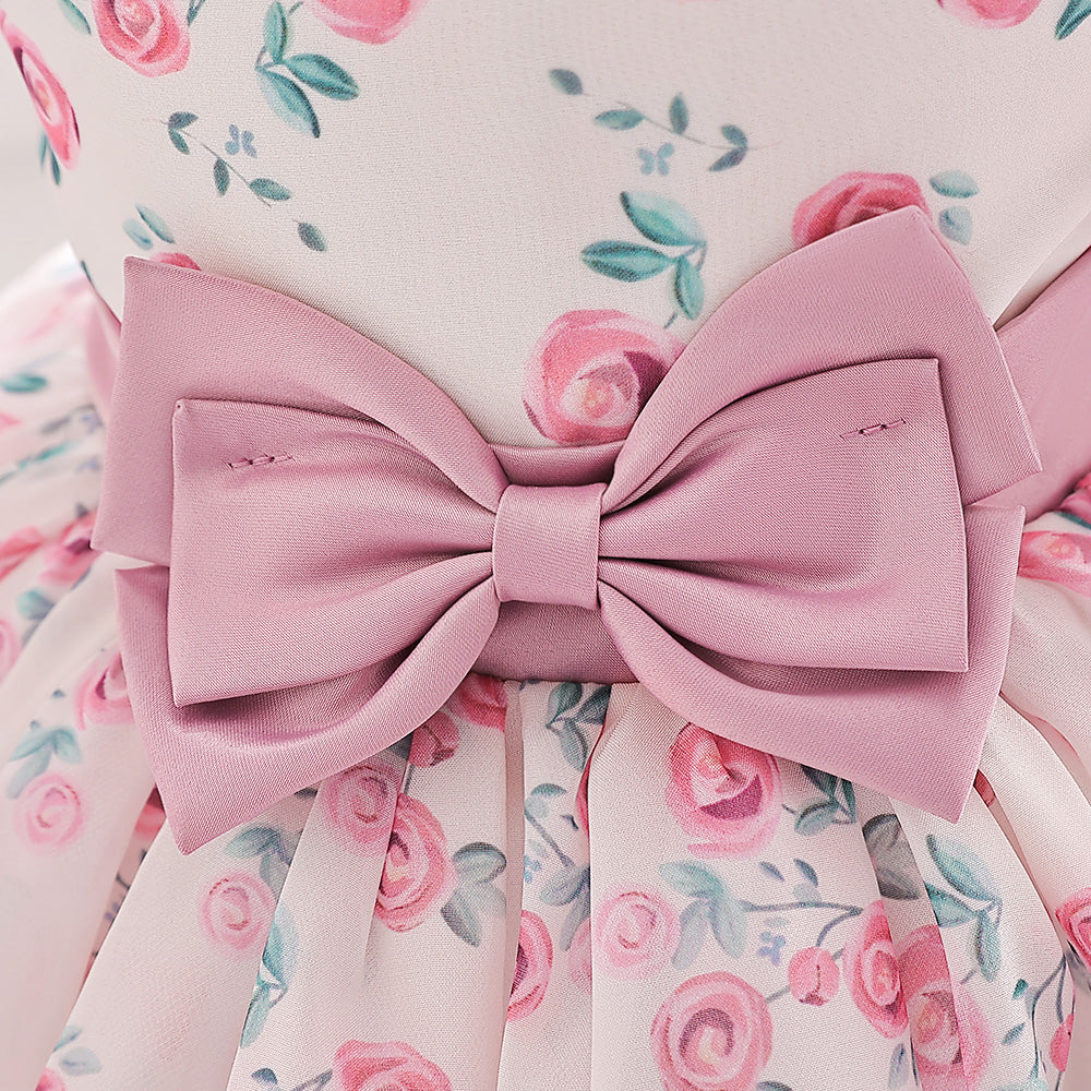 Girls Floral Print Fit & Flare Dress