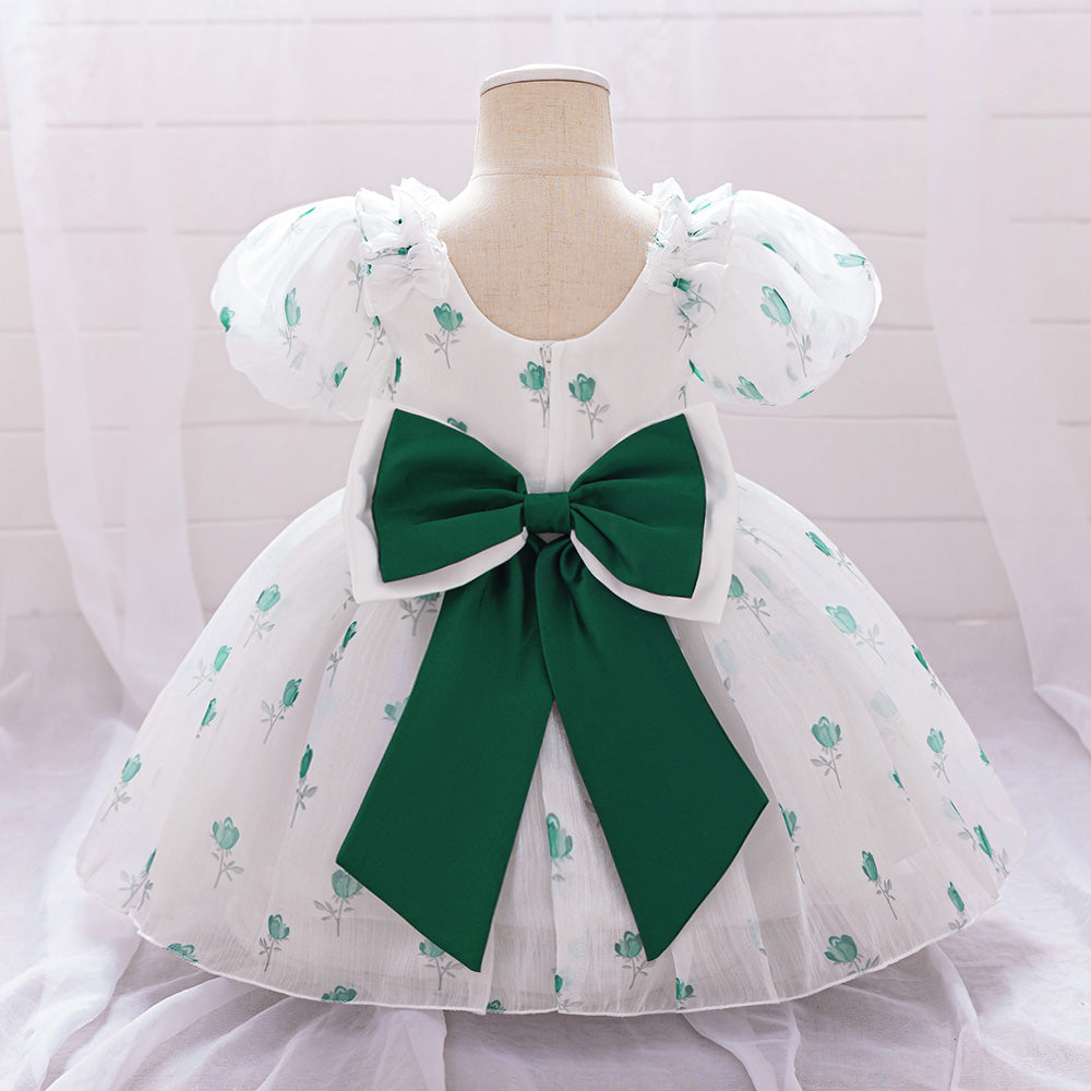 Floral Print Puff Sleeve Fit & Flare Dress