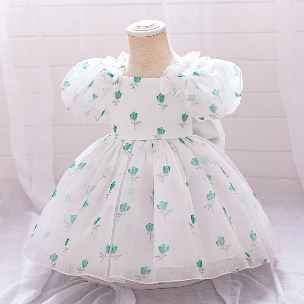 Floral Print Puff Sleeve Fit & Flare Dress