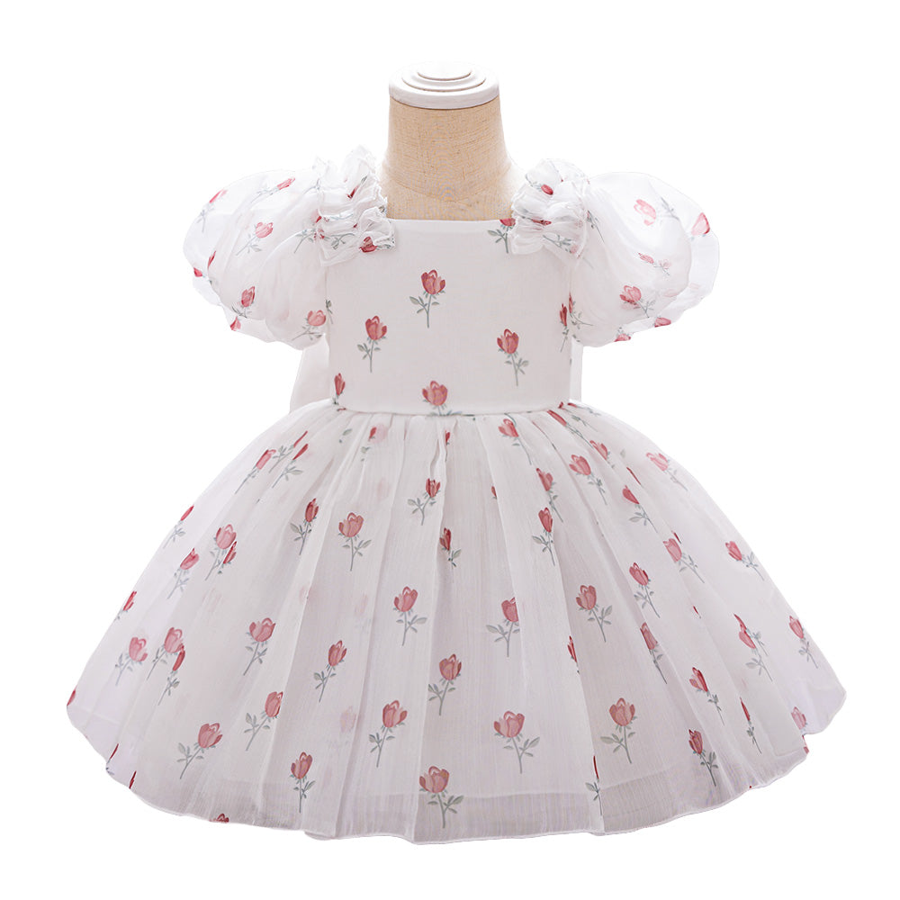 Girls Floral Print Puff Sleeves Fit & Flare Dress