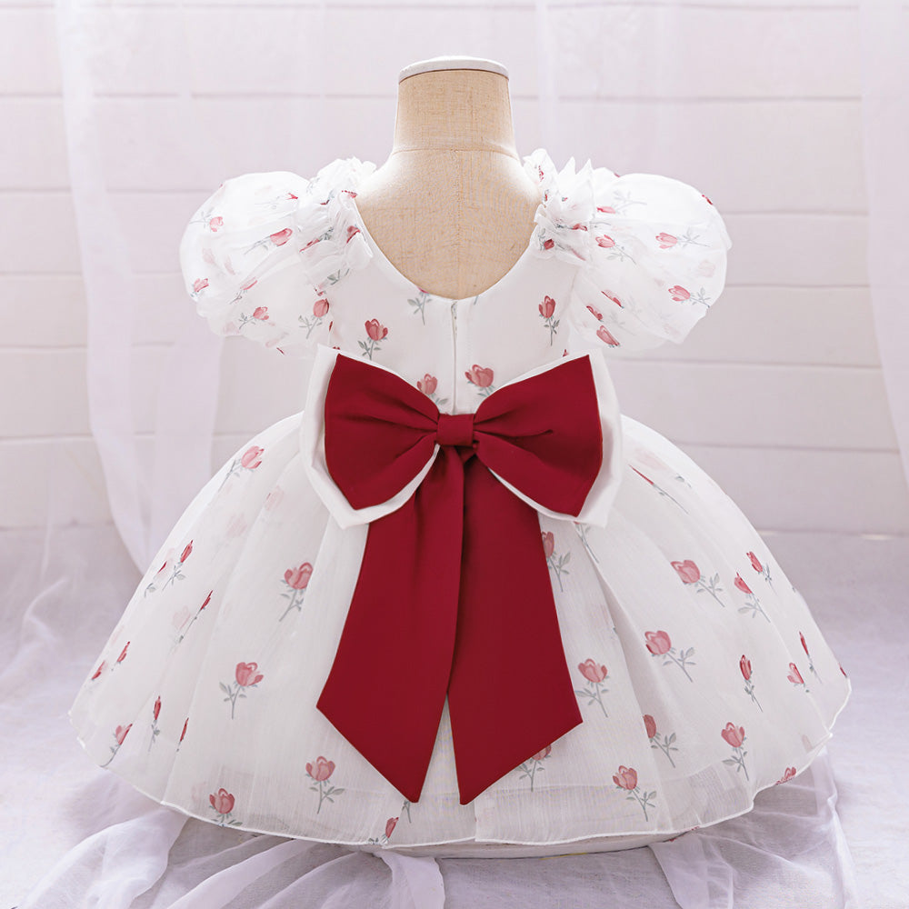 Girls Floral Print Puff Sleeves Fit & Flare Dress