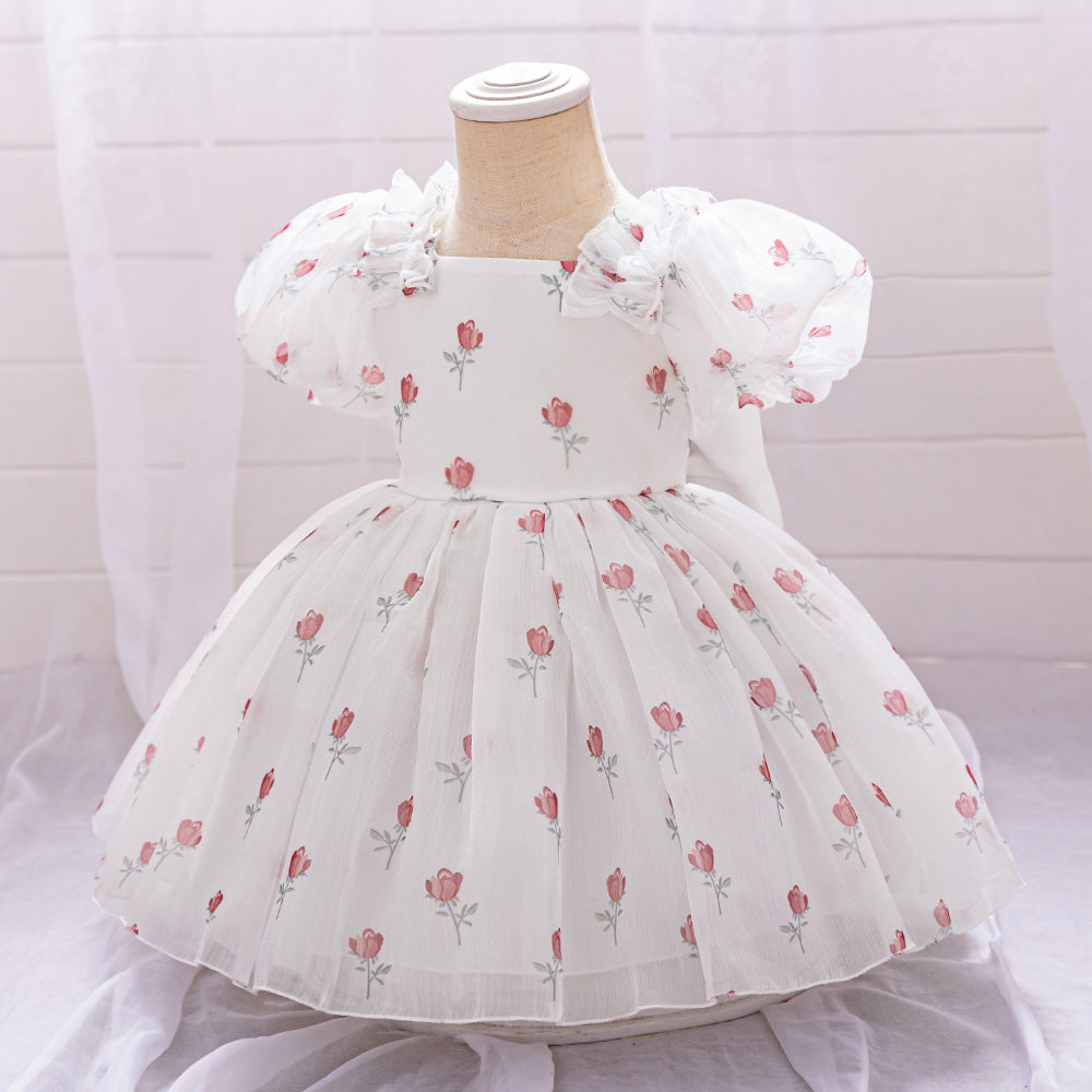 Girls Floral Print Puff Sleeves Fit & Flare Dress