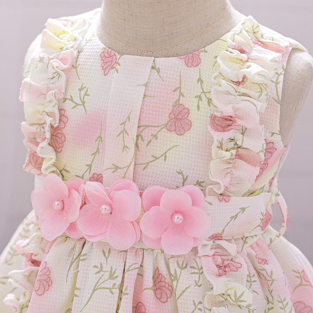 Floral Print Applique Balloon Dress