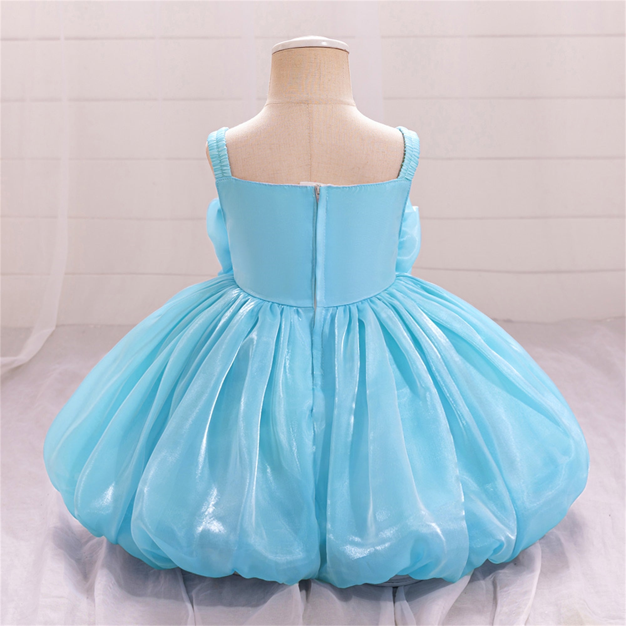 Girls Floral Applique Balloon Dress