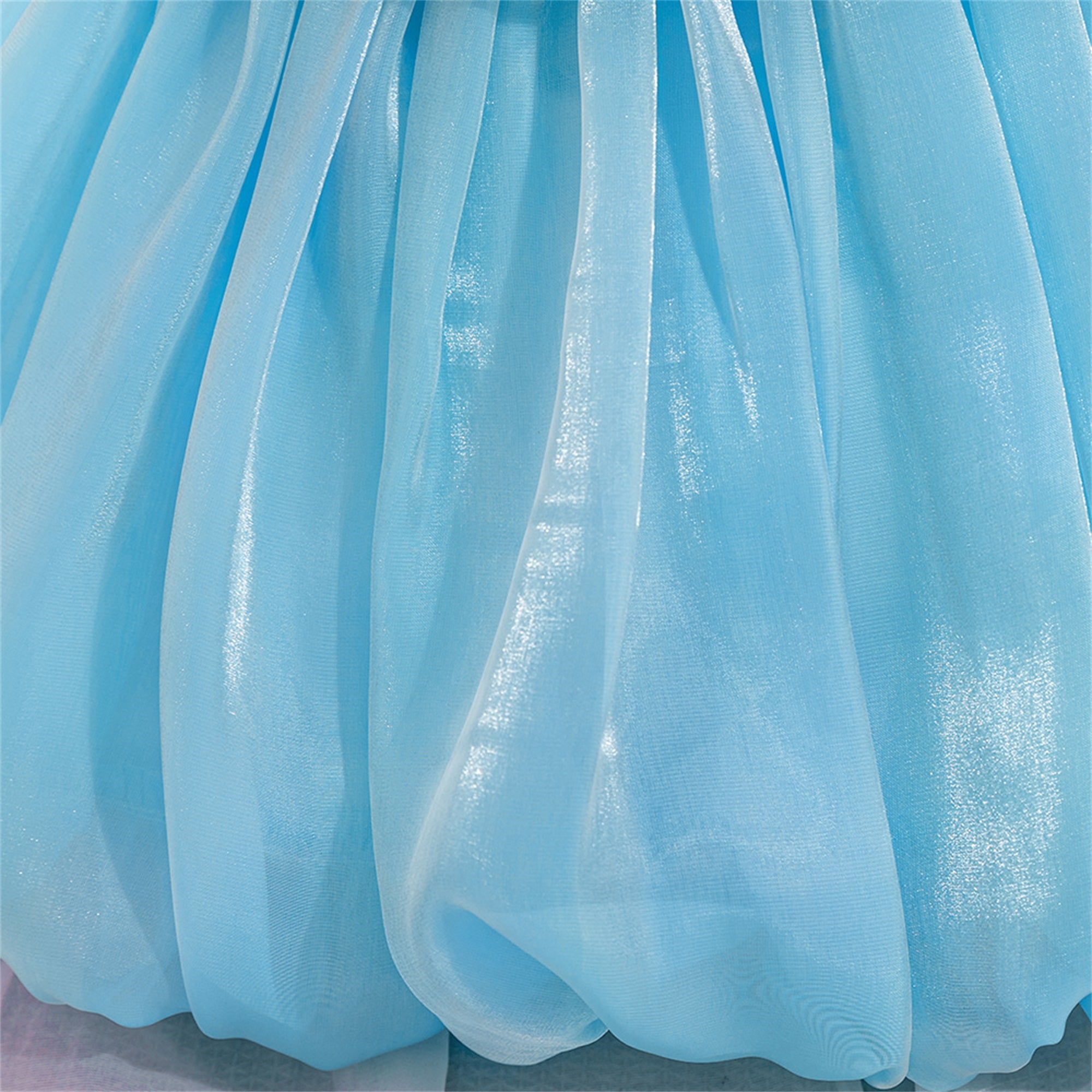Girls Floral Applique Balloon Dress