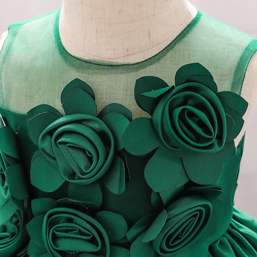Girls Green Floral Applique Balloon Dress