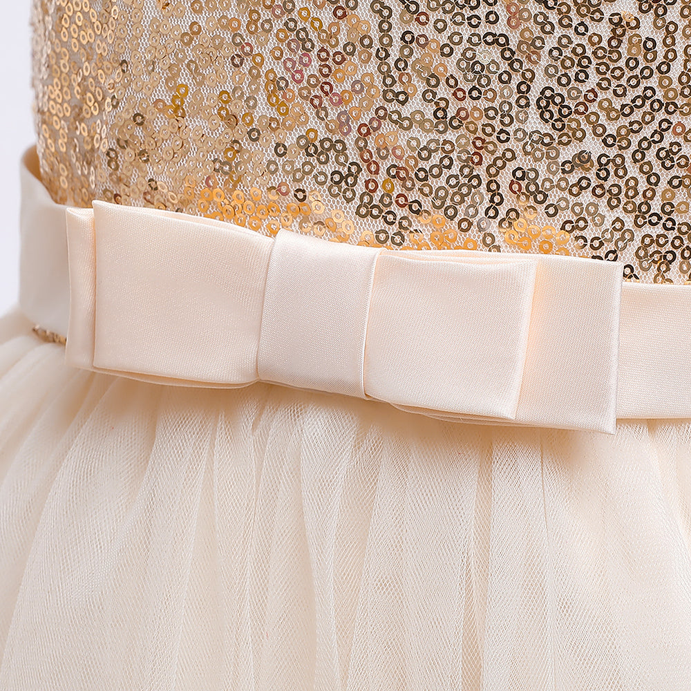 Champagne Round Neck Embellished Gown Dress