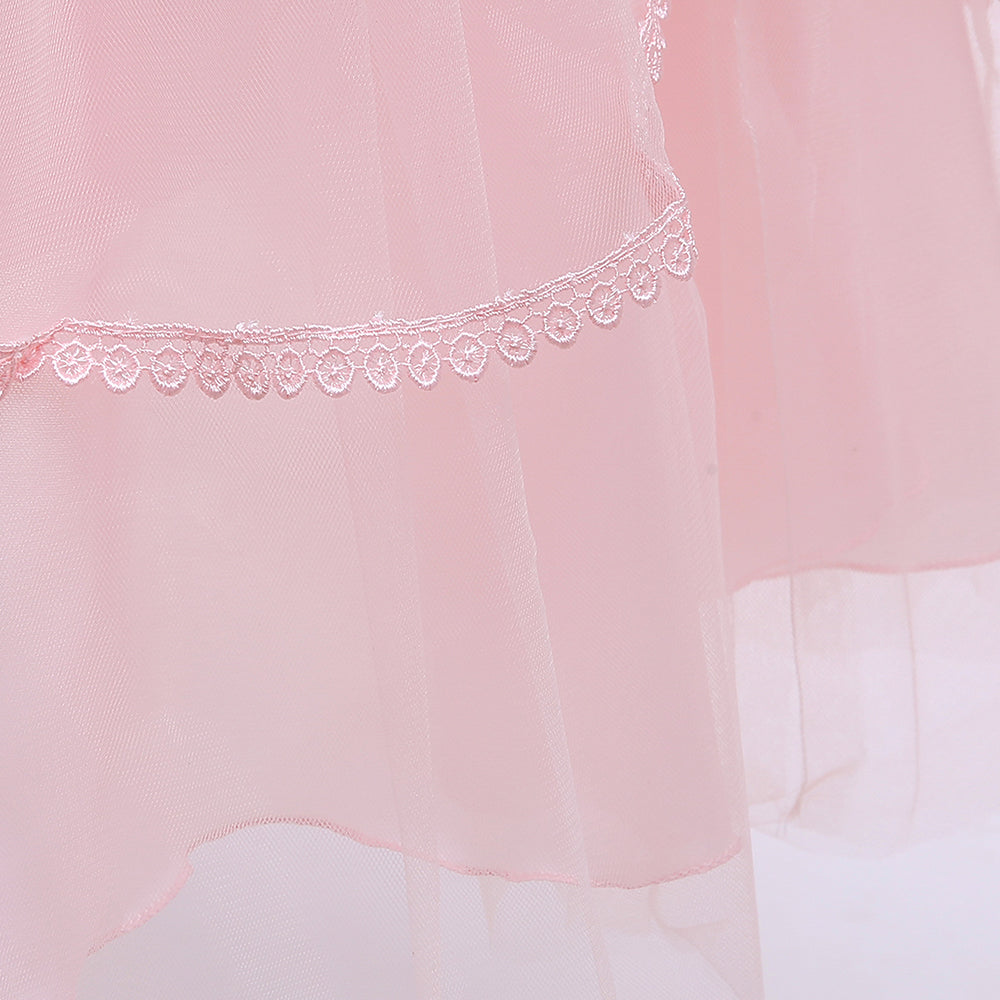 Pink & pale chestnut Embellished Maxi Dress