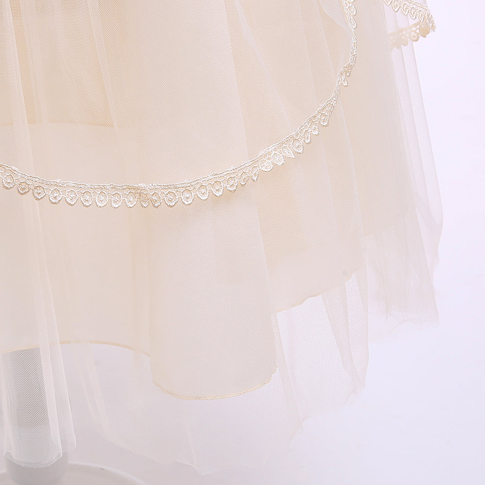 Champagne & peach blush Embellished Embroidered Maxi Dress