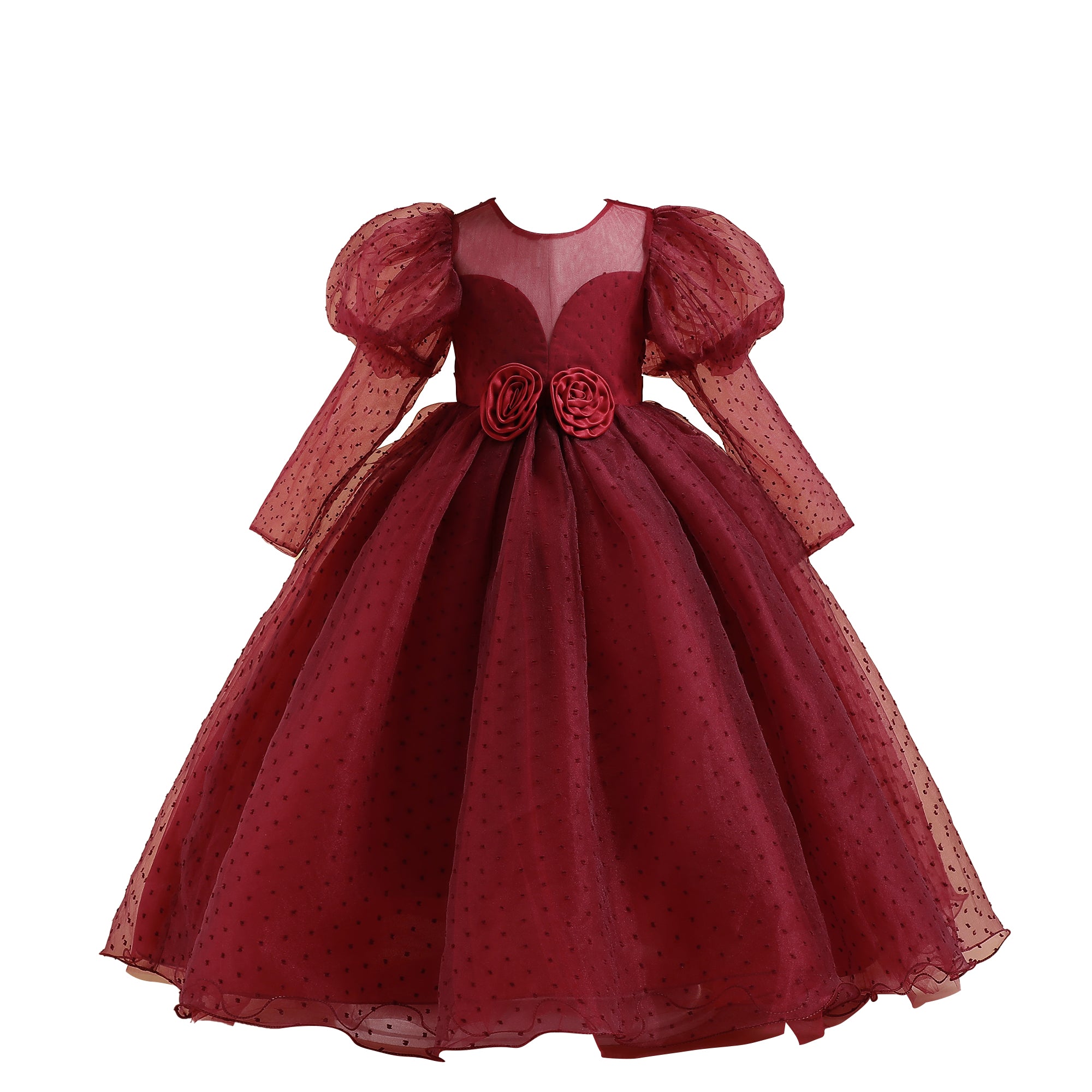 Maroon & persian plum Puff Sleeve Fit & Flare Maxi Dress