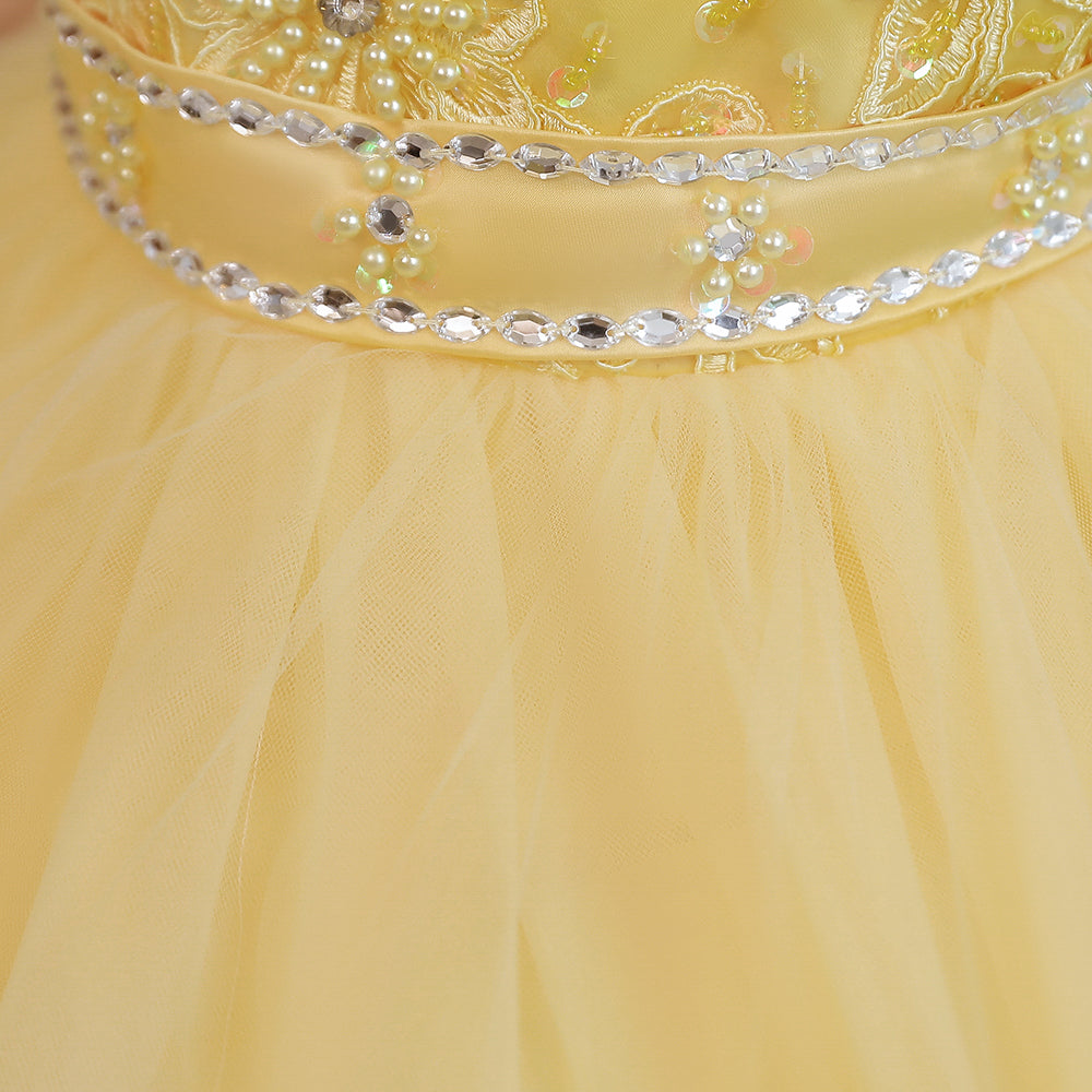 Yellow & cornsilk Floral Embroidered Applique Maxi Dress