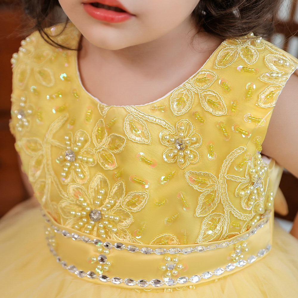 Yellow & cornsilk Floral Embroidered Applique Maxi Dress