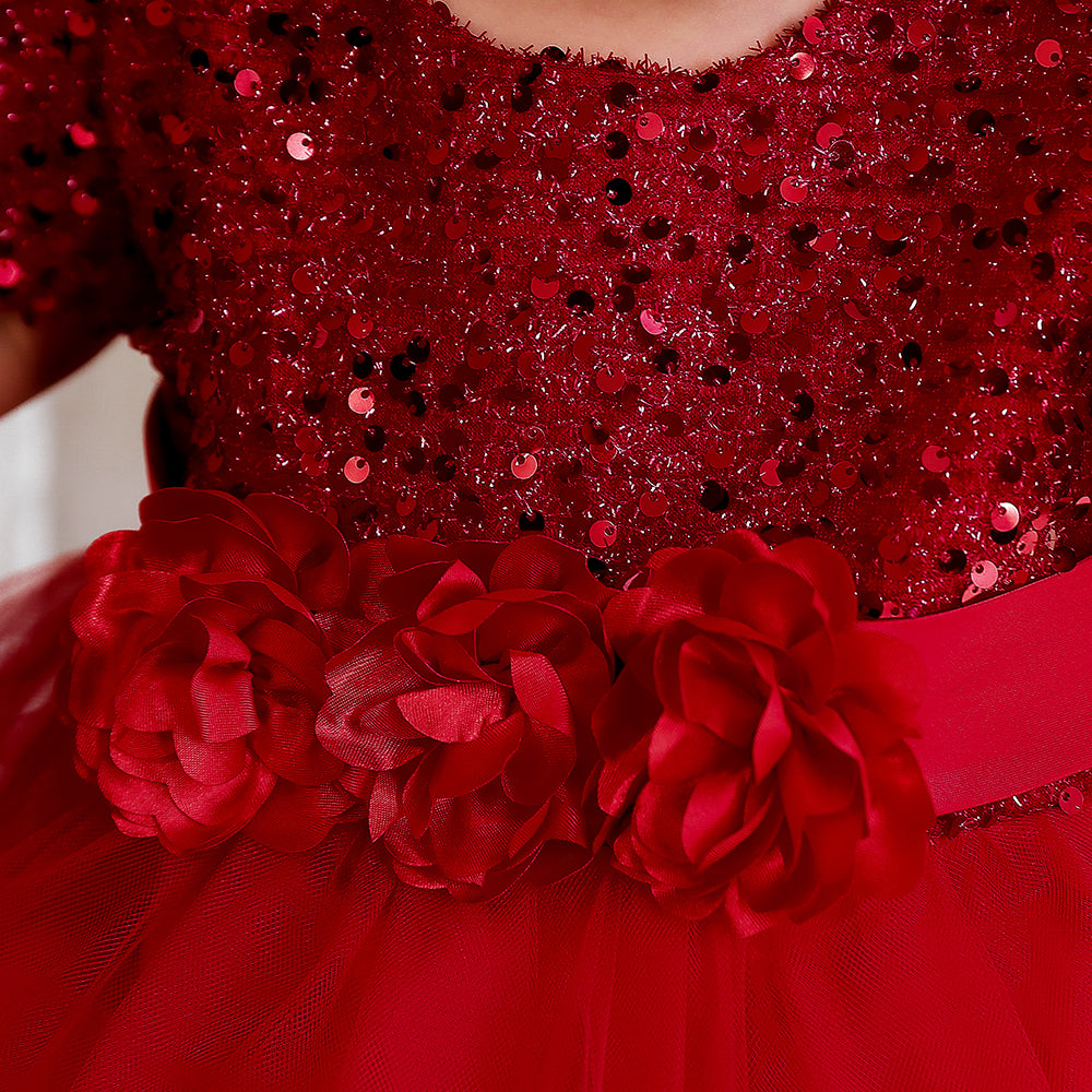 Maroon & dark red Embellished Puff Sleeve Fit & Flare Midi Dress